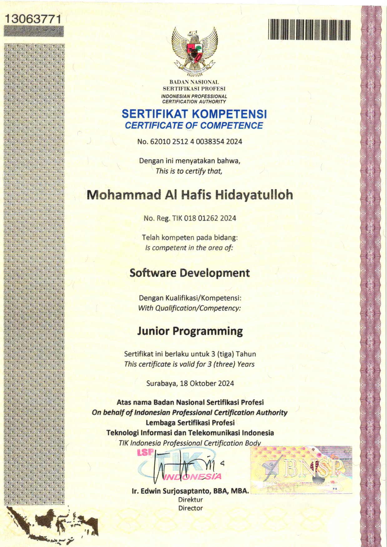 Junior Web Developer (BNSP)